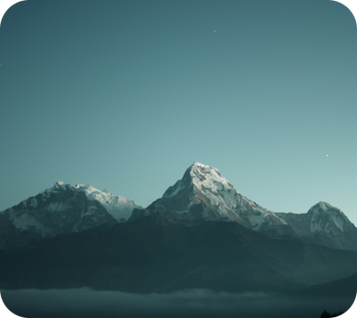 <p><strong>Wild</strong> The Deeper Connection</p>