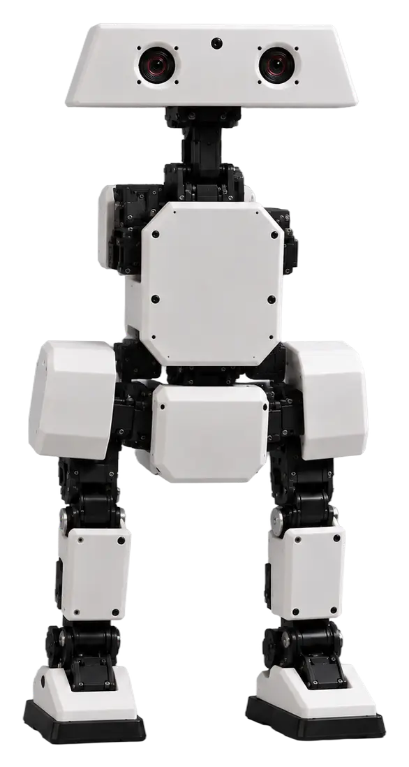 Mini Biped Bot