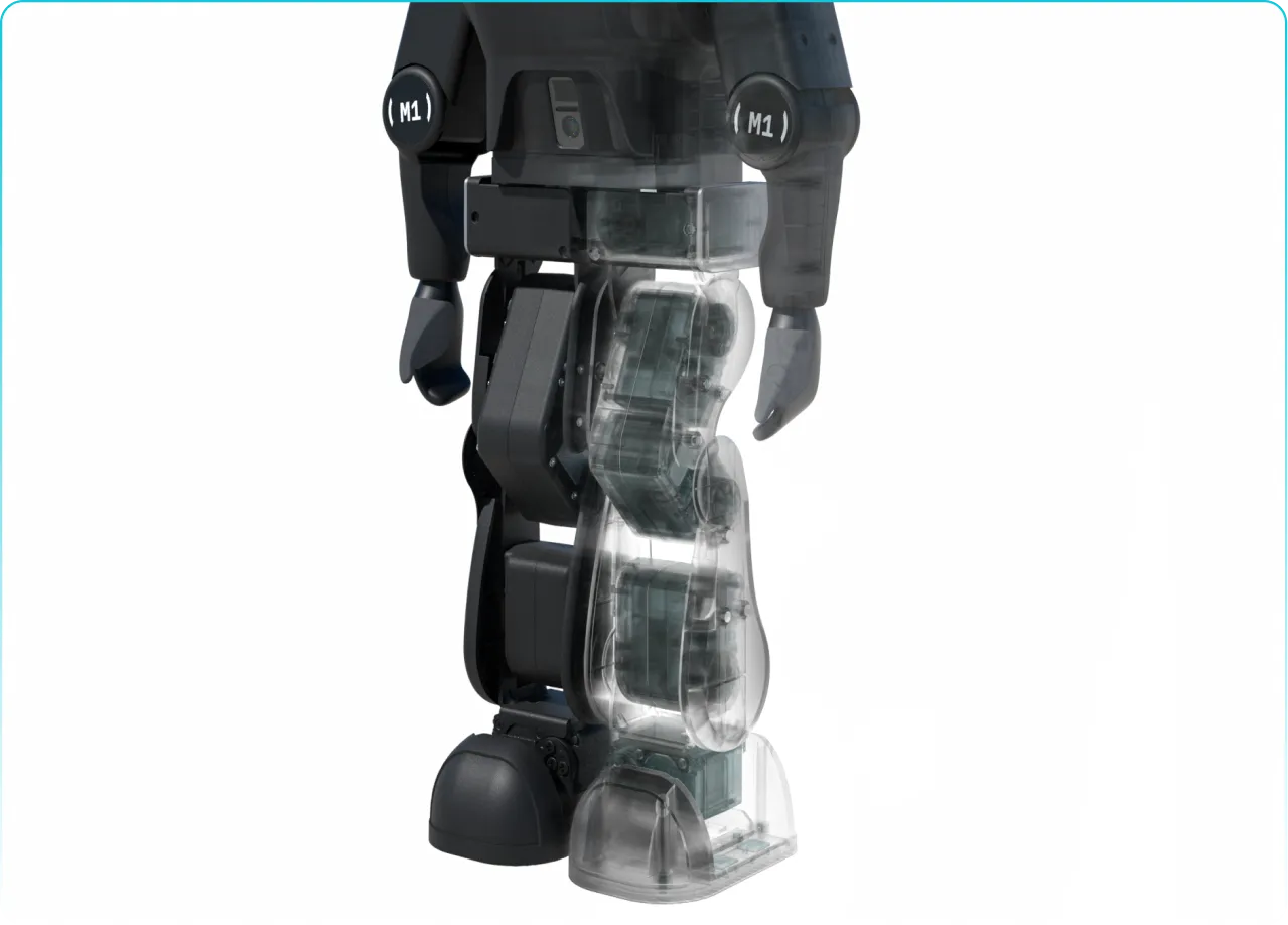 M1 translucent bipedal legs showing 12-DOF structure