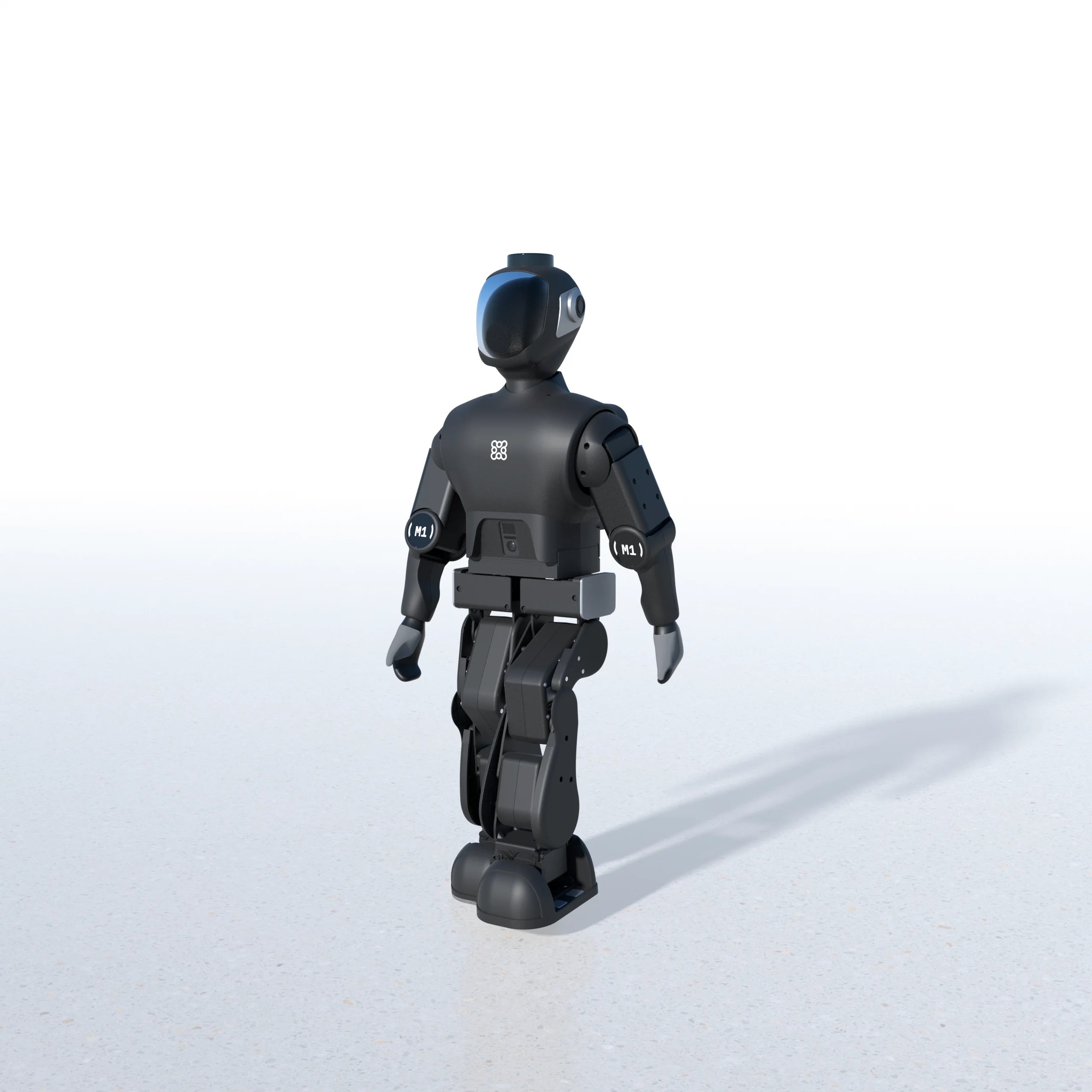 Variable Speed Walk